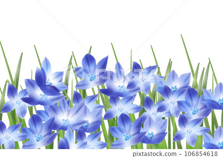 brodia flower card 1 brodia flower card 1 106854618