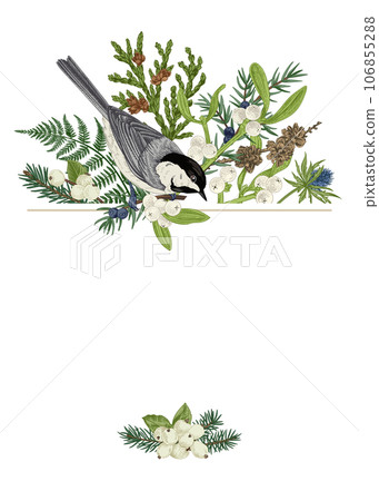 Christmas traditional card with birds and winter plants. Fern, spruce, mistletoe, larch, thuja and titmouse. Hand drawn botanical illustration. 106855288