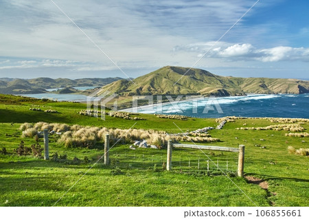 Green landscape in New Zealand, bay and hills, pastures Green landscape in New Zealand, bay and hills, pastures 106855661