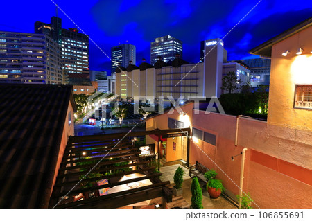 [Hyogo Prefecture] Night view of Mosaic Garden (Kobe Harborland) 106855691