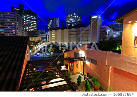 [Hyogo Prefecture] Night view of Mosaic Garden (Kobe Harborland) 106855694