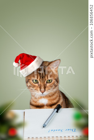 A Christmas cat in a Santa hat writes a letter to Santa Claus. Greeting card. 106856452