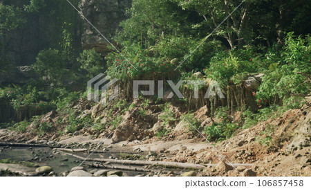 A serene river flowing through a vibrant tropical jungle A serene river flowing through a vibrant tropical jungle 106857458