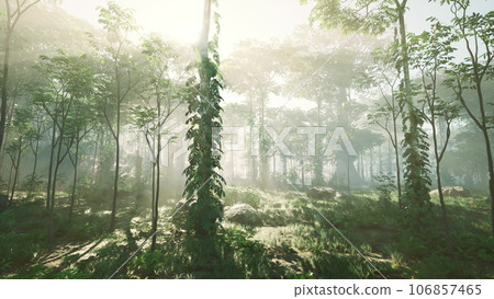 Sun beams through thick trees branches in dense green forest 106857465