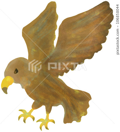 flying hawk flying hawk 106858044