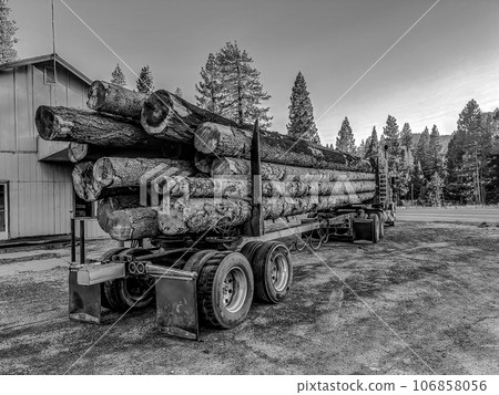Black and white photo of a parked logging truck with stacked timber loaded on a trailer. Black and white photo of a parked logging truck with stacked timber loaded on a trailer. 106858056