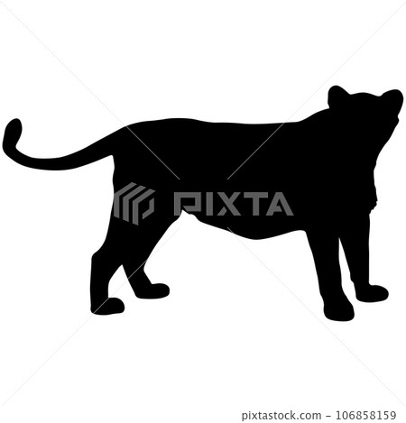 Silhouette beautiful jaguar on a white background 106858159
