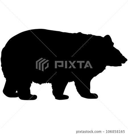 Silhouette brown bear on a white background 106858165