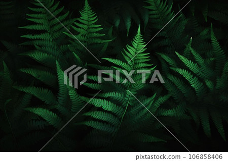 Fern leaves on a dark background Fern leaves on a dark background 106858406