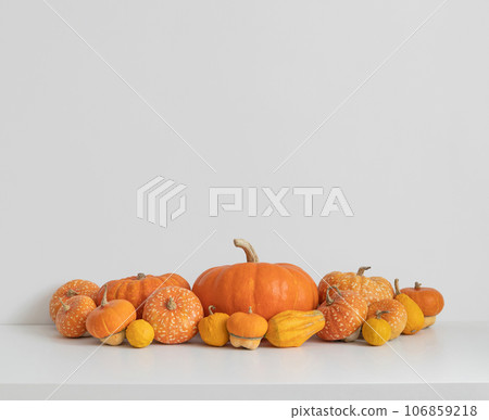 Autumn harvest with different pumpkins and squash on white background with copy space. Autumn festive decorations for Thanksgiving or Halloween. Organic vegetables. 106859218