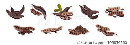 Carob Plant Pod as Natural Sweetener Plant Vector Set 106859560
