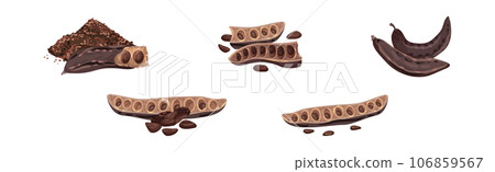 Carob Plant Pod as Natural Sweetener Plant Vector Set 106859567