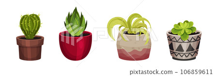 Green Decorative Houseplant Growing in Pot Vector Set 106859611