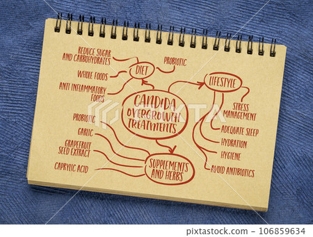 candida overgrowth treatment - infographics or mind map sketch on a notebook - wellness and health concept candida overgrowth treatment - infographics or mind map sketch on a notebook - wellness and health concept 106859634
