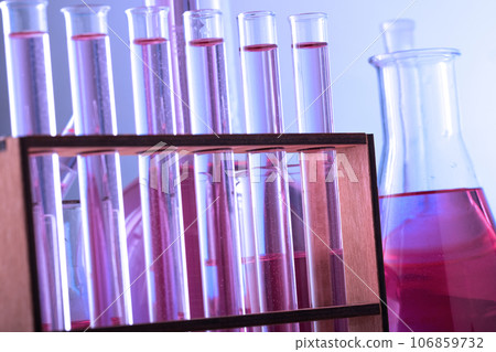 Chemical laboratory with glass test tubes and flasks Chemical laboratory with glass test tubes and flasks 106859732