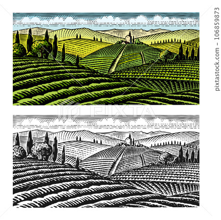 Scenic view of vineyards. Fields and hills of Tuscany. Panoramic vine plantation in Chianti. French 106859873