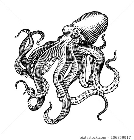 Sea octopus. Engraved hand drawn in old sketch, vintage creature. Nautical or marine, monster Sea octopus. Engraved hand drawn in old sketch, vintage creature. Nautical or marine, monster 106859917