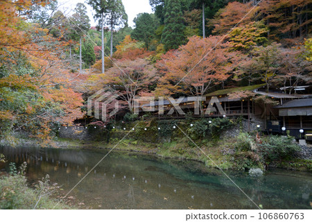 秋天的高雄，秋葉的清瀧川，京都市右京區 106860763