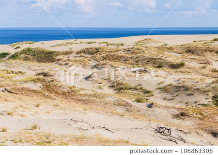 Curonian Spit landscape, sandy coastal dunes with grass Curonian Spit landscape, sandy coastal dunes with grass 106861308