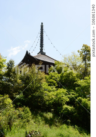 Negoroji Temple Oto, Iwade City, Wakayama Prefecture 106861340