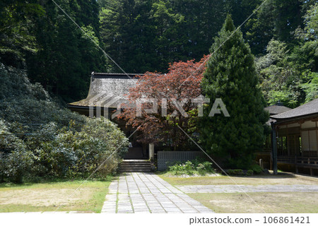 和歌山縣高野町高野山金剛峰寺金剛三昧院 106861421