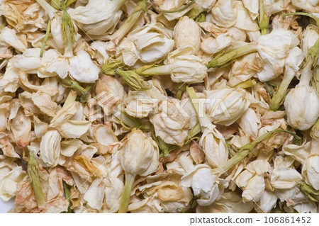 Jasmine flower (herb) Jasmine flower (herb) 106861452