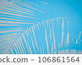Turquoise blue background with palm branch pattern 106861564