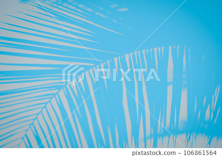 Turquoise blue background with palm branch pattern 106861564