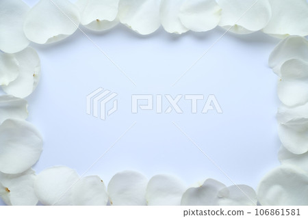 White floral composition with white rose petals on a white background 106861581