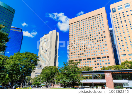 Summer sky in Shinjuku subcenter, Shinjuku Ward, Tokyo Summer sky in Shinjuku subcenter, Shinjuku Ward, Tokyo 106862245