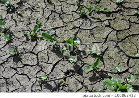 Yamadaike Park 106862438