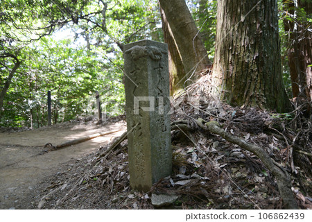 Fresh greenery of Kurama Temple, signpost for the approach to Okunoin, Sakyo Ward, Kyoto City 106862439