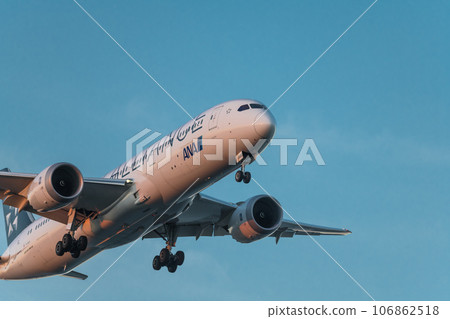 [ANA aircraft Star Alliance in preparation for landing from the sky above Jonanjima Seaside Park at sunset] 106862518