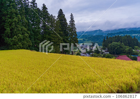 （長野縣野澤溫泉村）日本的秋天：梯田金黃色 106862817