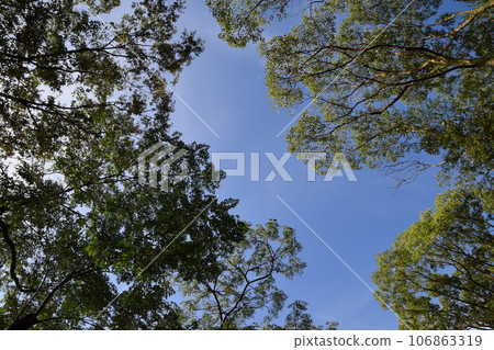 Yamadaike Park 106863319