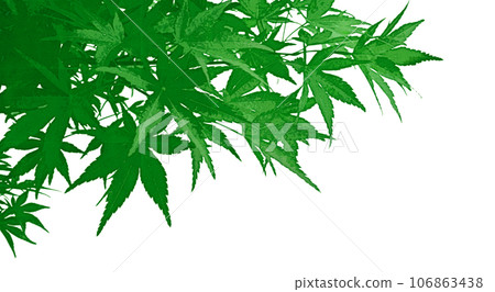 Art-style transparent material with cut out green maple leaves 106863438