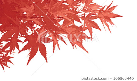 Art-style transparent material cut out from colored maples 106863440