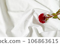 red kate flowers on the sheets 106863615