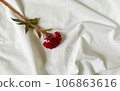 red kate flowers on the sheets 106863616