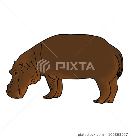 簡單寫實的河馬插畫 106863927