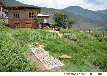 不丹，幸福之地 曬辣椒（不丹普納卡） 106864069