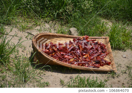 不丹，幸福之地，盛產辣椒（不丹） 106864070