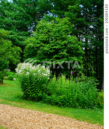 Hokkaido Kaze no Garden Summer Hokkaido Kaze no Garden Summer 106864189