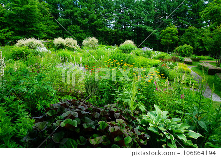 Hokkaido Kaze no Garden Summer Hokkaido Kaze no Garden Summer 106864194