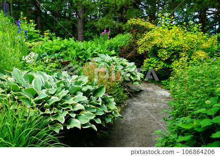 Hokkaido Kaze no Garden Summer 106864206
