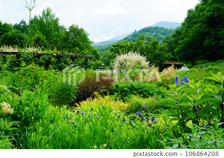 Hokkaido Kaze no Garden Summer 106864208