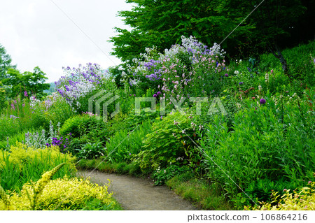 Hokkaido Kaze no Garden Summer 106864216