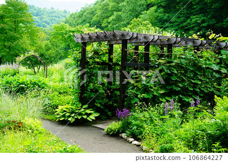 Hokkaido Kaze no Garden Summer 106864227