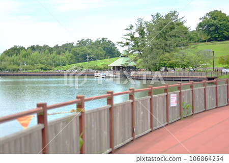 與池塘的風景 106864254