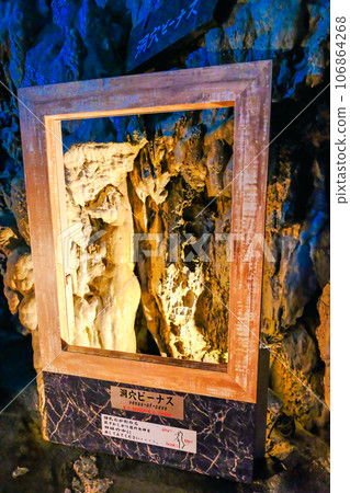 金星洞穴 106864268